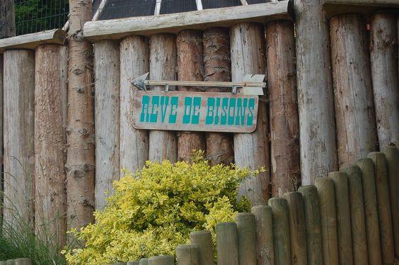 DSC_0001 [50%] [50%].JPG